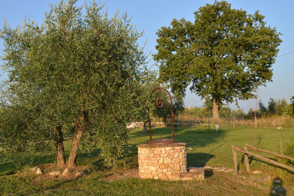 Agriturismo Podere Dell' Olmo Амелиа Экстерьер фото