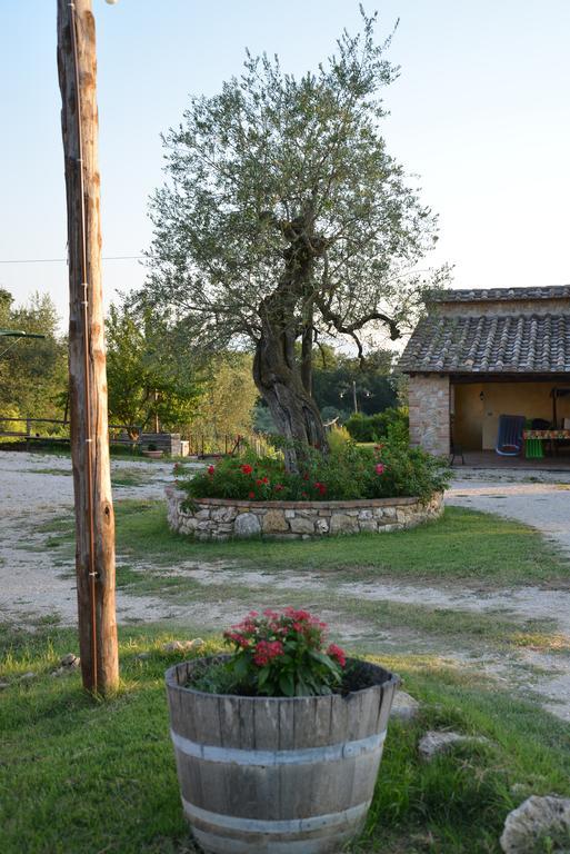Agriturismo Podere Dell' Olmo Амелиа Экстерьер фото