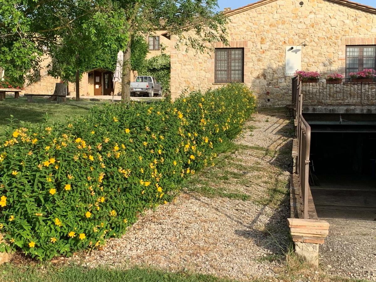 Agriturismo Podere Dell' Olmo Амелиа Экстерьер фото