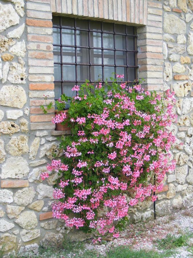 Agriturismo Podere Dell' Olmo Амелиа Экстерьер фото